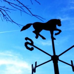 Meet your Posher, Kandy